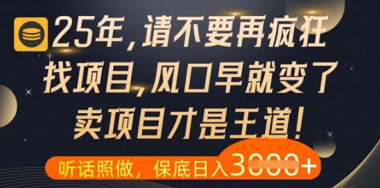 什么？25年你还在疯狂找项目做，醒醒吧，看完这些你全都懂了【揭秘】网赚项目-副业赚钱-互联网创业-资源整合御文网赚
