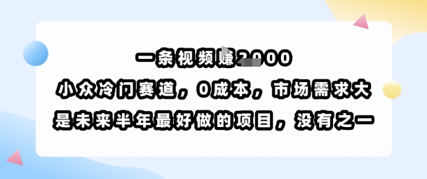 一条视频挣1k，小众冷门赛道，0成本，市场需求大，是未来半年最好做的项目，没有之一网赚项目-副业赚钱-互联网创业-资源整合御文网赚