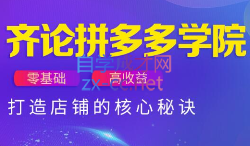 齐论拼多多vip课程网赚项目-副业赚钱-互联网创业-资源整合御文网赚