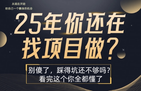 25年，你还在疯狂的找项目吗？别傻了，看完这个你都懂了【揭秘】网赚项目-副业赚钱-互联网创业-资源整合御文网赚
