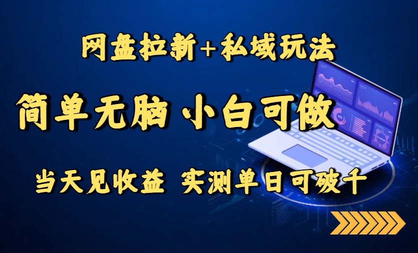 网盘拉新+私域玩法，简单无脑，小白可做，当天见收益，实测单日可破千网赚项目-副业赚钱-互联网创业-资源整合御文网赚