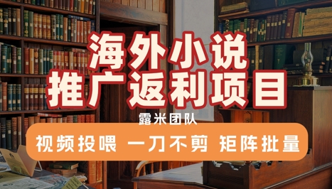 海外小说推广返利项目，视频投喂， 一刀不剪，矩阵批量网赚项目-副业赚钱-互联网创业-资源整合御文网赚