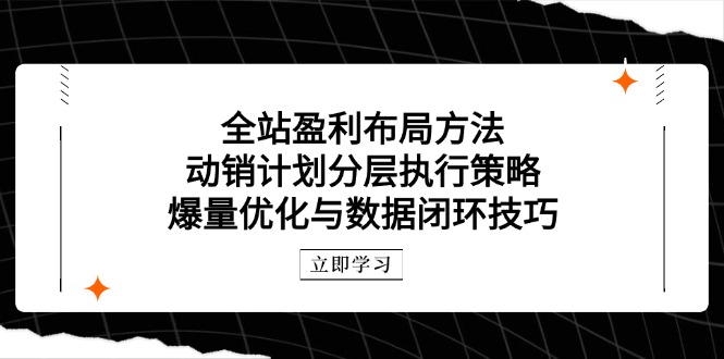 全站盈利布局方法：动销计划分层执行策略，爆量优化与数据闭环技巧网赚项目-副业赚钱-互联网创业-资源整合御文网赚