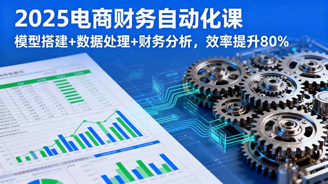 2025电商财务自动化课，模型搭建+数据处理+财务分析，效率提升80%网赚项目-副业赚钱-互联网创业-资源整合御文网赚
