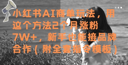 小红书AI商单玩法，用这个方法2个月涨粉7W+，新手也能接品牌合作(附全套指令模板)网赚项目-副业赚钱-互联网创业-资源整合御文网赚