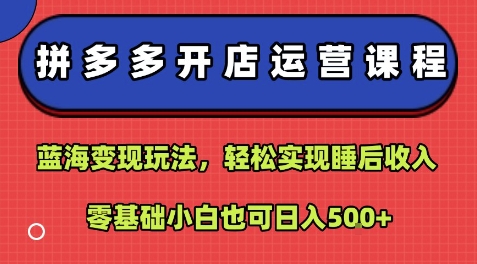 拼多多开店运营课程：蓝海变现玩法，轻松实现睡后收入，零基础小白也可日入5张网赚项目-副业赚钱-互联网创业-资源整合御文网赚