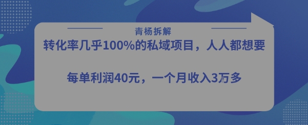 转化率最高的私域项目，每单利润40-50米，月入过1w网赚项目-副业赚钱-互联网创业-资源整合御文网赚