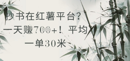 抄书在小红薯平台？平均一单30米，一天收益几张！网赚项目-副业赚钱-互联网创业-资源整合御文网赚