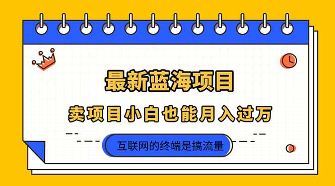 20b8c0112315536992400c7b8a21d1b4.jpeg 2025年最新蓝海项目,卖项目小白也能月入过万