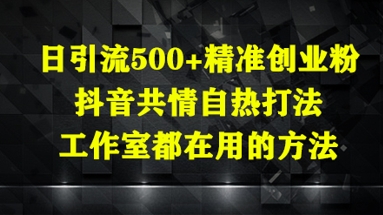 日引流500+精准创业粉，抖音共情自热打法，工作室都在用的方法网赚项目-副业赚钱-互联网创业-资源整合御文网赚