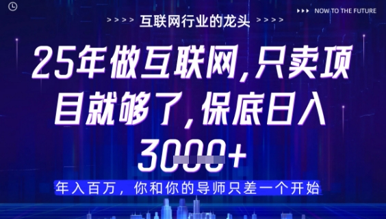 什么！25年你还在找项目做？风口早就变了，卖项目才是稳挣不赔【揭秘】网赚项目-副业赚钱-互联网创业-资源整合御文网赚