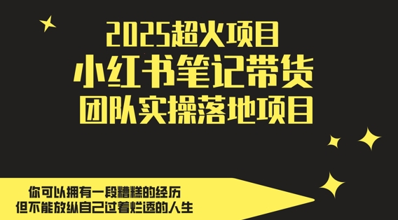 2025超火项目，副业最佳选择，小红书笔记带货团队实操落地项目，，轻松日入5张网赚项目-副业赚钱-互联网创业-资源整合御文网赚