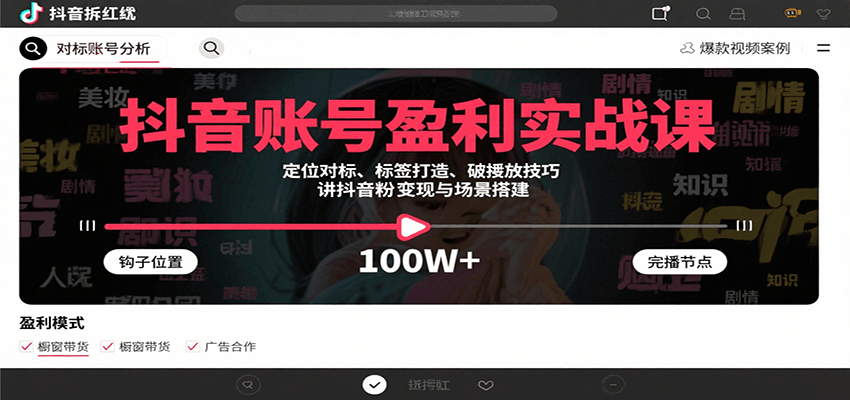 抖音账号盈利实战课，定位对标、标签打造、破播放技巧，讲涨粉变现与场景搭建网赚项目-副业赚钱-互联网创业-资源整合御文网赚