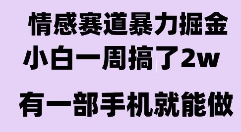 情感暴力掘金项目，新人操作一周挣了2W，长期稳定小白可做【揭秘】网赚项目-副业赚钱-互联网创业-资源整合御文网赚
