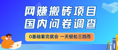 网创搬砖项目，国内问卷调查，小白轻松上手，一天三四张的也不难，干就完了【揭秘】网赚项目-副业赚钱-互联网创业-资源整合御文网赚