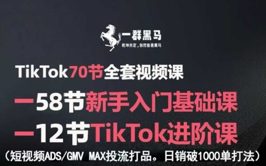 TikTok全套视频课，新手入门+进阶课，短视频ADS-GMV MAX投流打品，日销破1000单打法网赚项目-副业赚钱-互联网创业-资源整合御文网赚