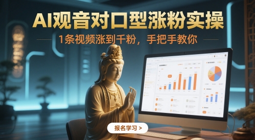 AI观音对口型涨粉实操，1条视频涨到千粉，手把手教你网赚项目-副业赚钱-互联网创业-资源整合御文网赚