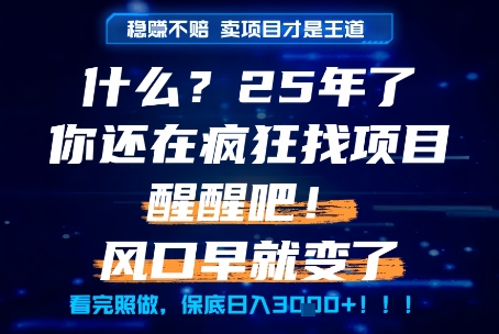 什么？25年你还在疯狂找项目做，醒醒吧，看完这些你全都懂了！【揭秘】网赚项目-副业赚钱-互联网创业-资源整合御文网赚