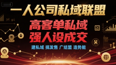 一人公司私域联盟，高客单私域，强人设成交，建私域 搞发售 广结盟 造势能网赚项目-副业赚钱-互联网创业-资源整合御文网赚