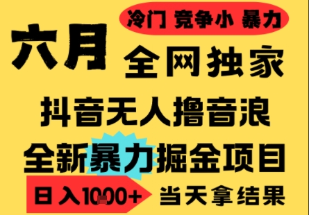 25年6月高爆抖音无人直播最新撸音浪掘金项目，小白可做，无脑日入1k+，门槛低可批量矩阵【揭秘】网赚项目-副业赚钱-互联网创业-资源整合御文网赚