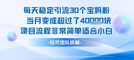 每天稳定引流30个人 当月变成超过了4个W项目流程非常简单适合小白网赚项目-副业赚钱-互联网创业-资源整合御文网赚