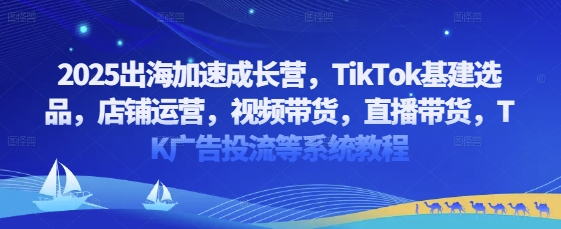 2025出海加速成长营，TikTok基建选品，店铺运营，视频带货，直播带货，TK广告投流等系统教程网赚项目-副业赚钱-互联网创业-资源整合御文网赚