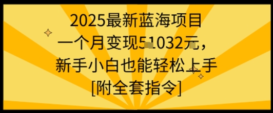 2025最新蓝海项目一个月变现1w+新手小白也能轻松上手【附全套指令】网赚项目-副业赚钱-互联网创业-资源整合御文网赚