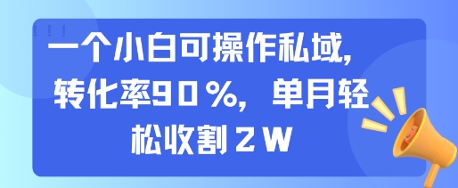 一个小白可操作私域，转化率90%，单月轻松收割2W网赚项目-副业赚钱-互联网创业-资源整合御文网赚