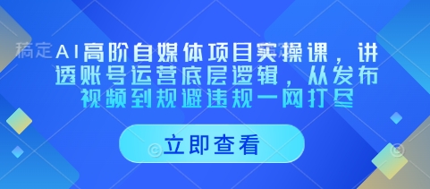 AI高阶自媒体项目实操课，讲透账号运营底层逻辑，从发布视频到规避违规一网打尽网赚项目-副业赚钱-互联网创业-资源整合御文网赚