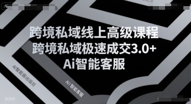 跨境私域线上高级课程，跨境私域极速成交3.0+Ai智能客服网赚项目-副业赚钱-互联网创业-资源整合御文网赚