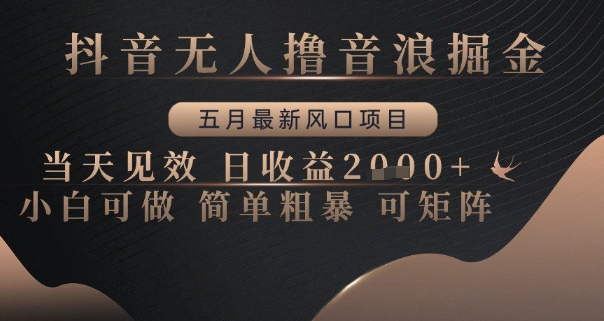 抖音无人撸音浪掘金，五月最新风口项目，当天见效，日收益多张，小白可做简单粗暴可矩阵【揭秘】网赚项目-副业赚钱-互联网创业-资源整合御文网赚
