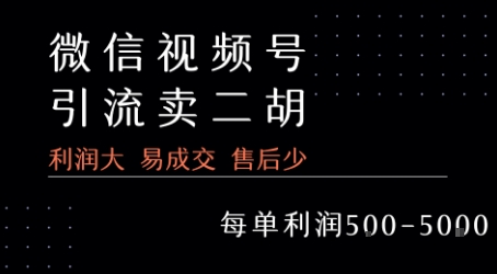 视频号卖二胡教程，利润大 易成交 售后少，一单利润5张+网赚项目-副业赚钱-互联网创业-资源整合御文网赚
