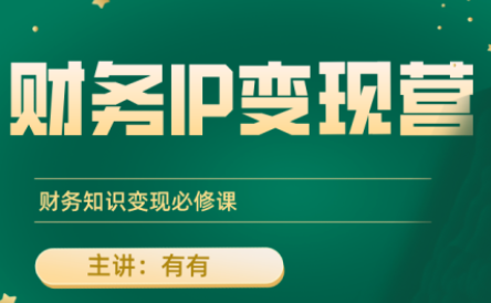 有有老师·财务IP变现营，财务知识变现必修课网赚项目-副业赚钱-互联网创业-资源整合御文网赚
