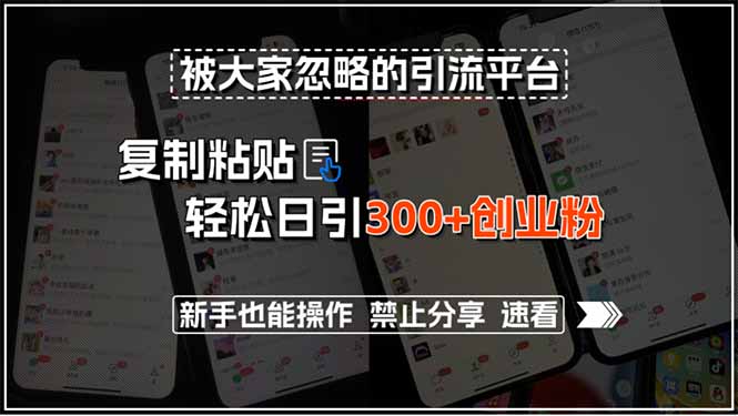 被大家忽略的引流平台，复制粘贴轻松日引300+创业粉，新手也能操作，禁…网赚项目-副业赚钱-互联网创业-资源整合御文网赚