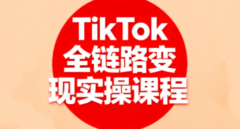 小杨老师·TikTok全链路变现实操课程网赚项目-副业赚钱-互联网创业-资源整合御文网赚