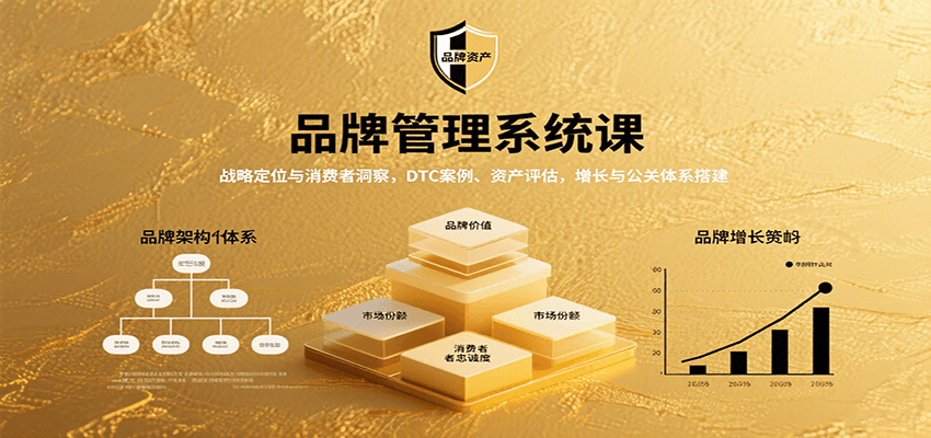 品牌管理系统课：战略定位与消费者洞察，DTC案例、资产评估，增长与公关体系搭建网赚项目-副业赚钱-互联网创业-资源整合御文网赚