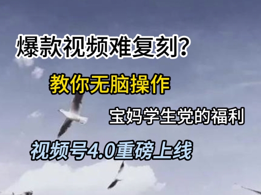 视频号4.0重磅上线，爆款视频难复刻？教你无脑操作宝妈学生党的福利【揭秘】网赚项目-副业赚钱-互联网创业-资源整合御文网赚