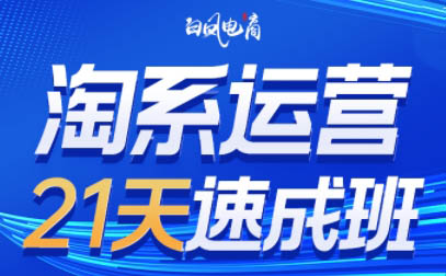 白凤电商·淘系运营21天速成班(更新6月)网赚项目-副业赚钱-互联网创业-资源整合御文网赚