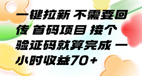一键拉新 不需要回传 首码项目 接个验证码就算完成 一小时收益70+【揭秘】网赚项目-副业赚钱-互联网创业-资源整合御文网赚