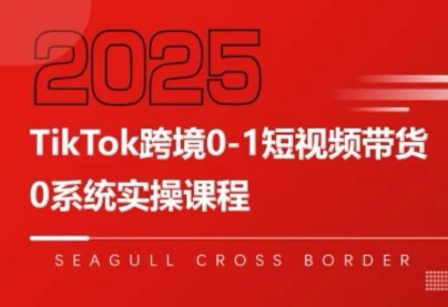 大亿老师·TikTok跨境0-1短视频带货网赚项目-副业赚钱-互联网创业-资源整合御文网赚