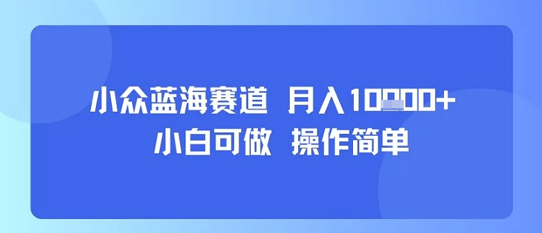 小众蓝海赛道，小白可做，操作简单，每天30分钟，月入1W+网赚项目-副业赚钱-互联网创业-资源整合御文网赚