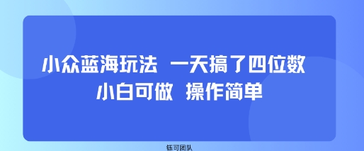 小众蓝海玩法 一天搞了四位数 小白可做 操作简单网赚项目-副业赚钱-互联网创业-资源整合御文网赚