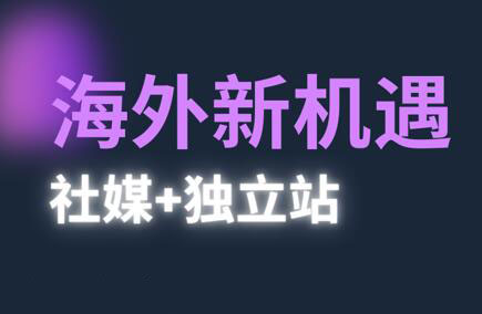 棕榈·2025出海新机遇(社媒+独立站)网赚项目-副业赚钱-互联网创业-资源整合御文网赚