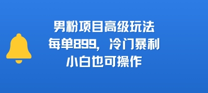 男粉项目高级玩法，每单899，冷门暴利，小白也可操作网赚项目-副业赚钱-互联网创业-资源整合御文网赚