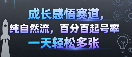 成长感悟赛道，纯自然流，百分百起号率 一天轻松多张网赚项目-副业赚钱-互联网创业-资源整合御文网赚