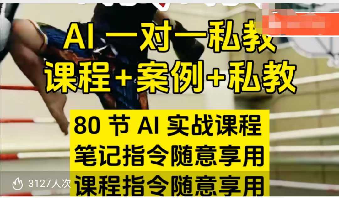AI指令实战课，课程+案例，80节AI实战课程，笔记指令随意享用，课程指令随意享用(更新7月)网赚项目-副业赚钱-互联网创业-资源整合御文网赚