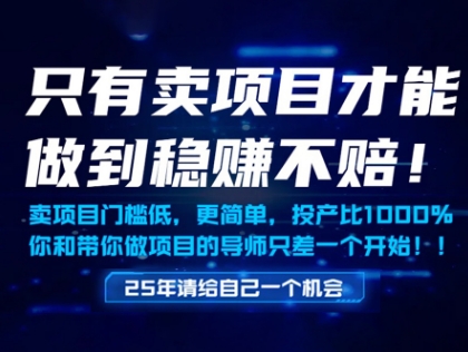 只有卖项目才能做到稳挣不赔，门槛低，更简单，你也可以年入百个W【揭秘】网赚项目-副业赚钱-互联网创业-资源整合御文网赚