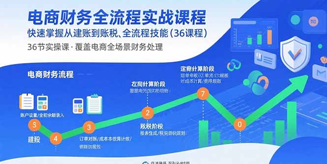 电商财务全流程实战课程：快速掌握从建账到报税的全流程技能(36节课网赚项目-副业赚钱-互联网创业-资源整合御文网赚