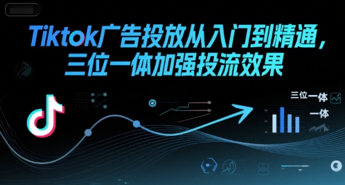 Tiktok广告投放从入门到精通，三位一体加强投流效果网赚项目-副业赚钱-互联网创业-资源整合御文网赚