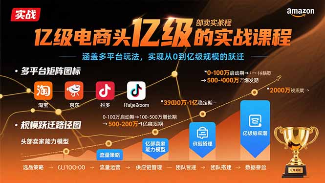 亿级电商头部卖家的实战课程：涵盖多平台玩法，实现从0到亿级规模的跃迁网赚项目-副业赚钱-互联网创业-资源整合御文网赚